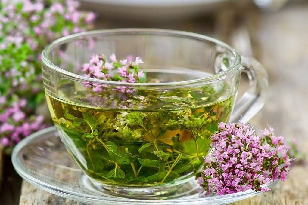 Té con Centaury para absterse de alcol para unha muller